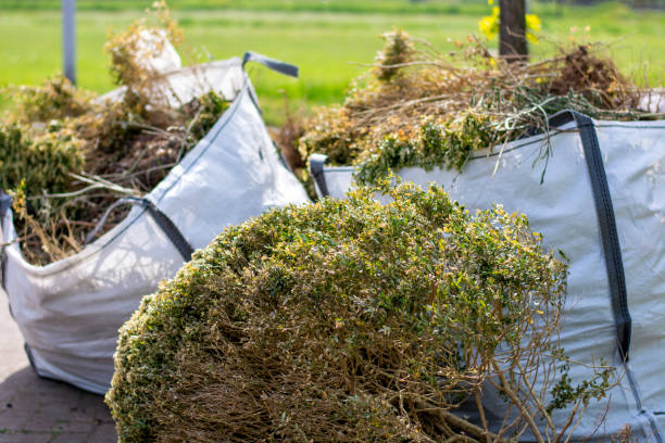 Best Junk Hauling Services  in Brass Castle, NJ